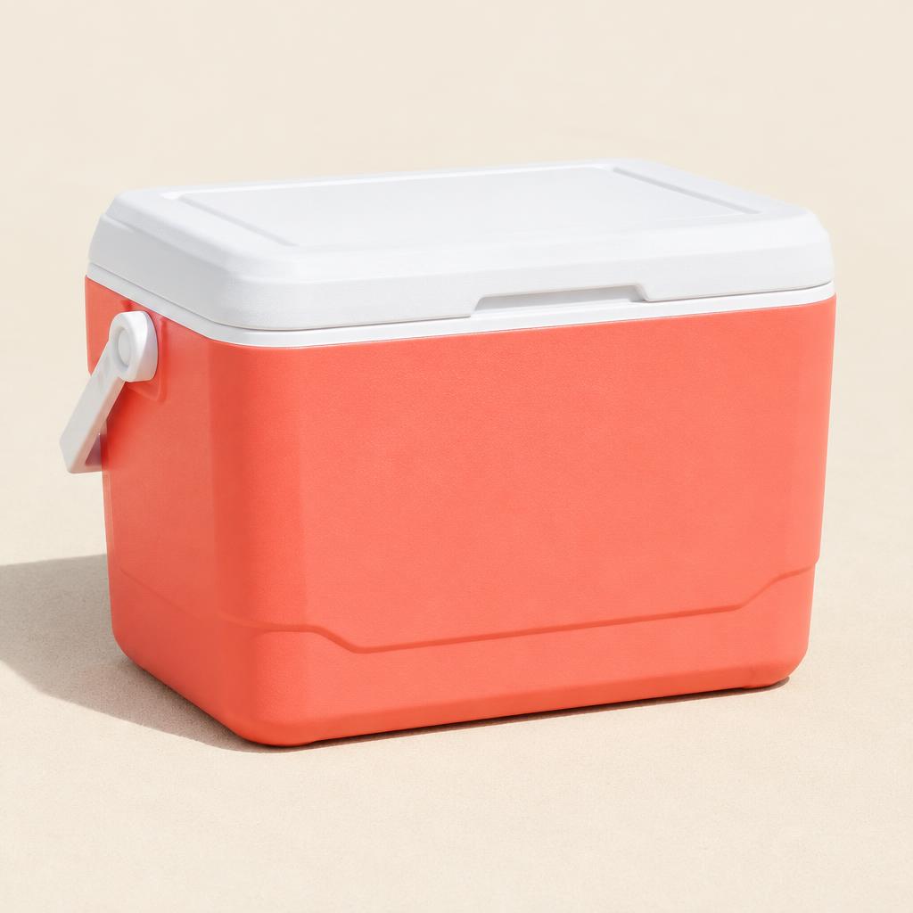 Insulated Beach Cooler — illustrative product photo, not an exact listing. Images and Photos created by www.cheap-beach-house.com