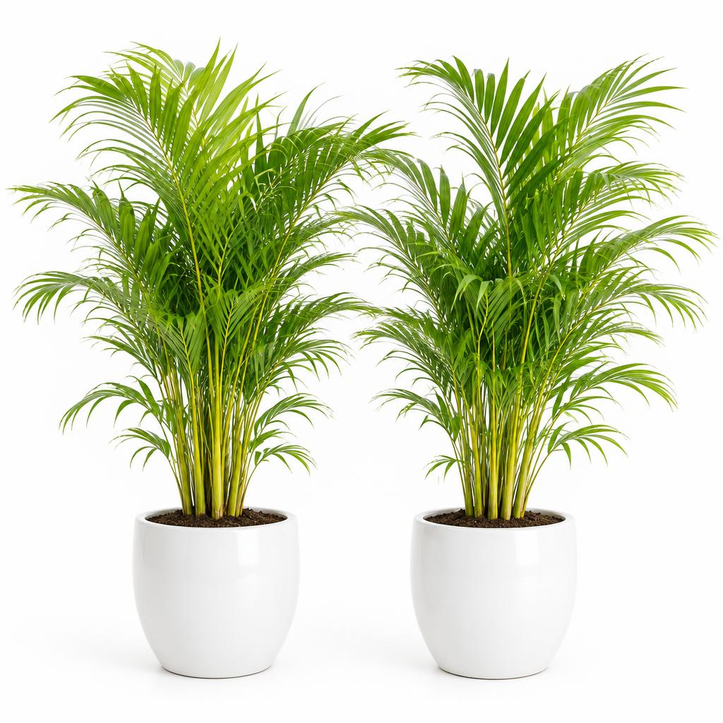 Potted Palm Pair — illustrative product photo, not an exact listing. Images and Photos created by www.cheap-beach-house.com